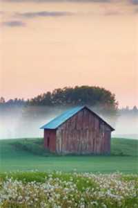 柳仙讨封完结+番外