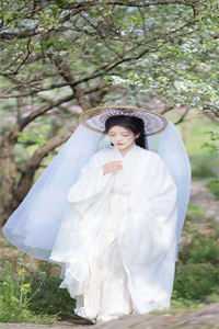 朝朝暮暮与君散:全本+番外+后续