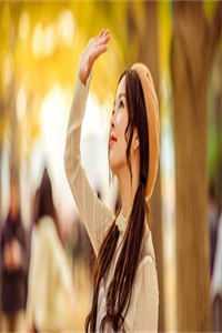 爱恨飘摇，一梦繁华尽许明月顾子辰无删减+无广告