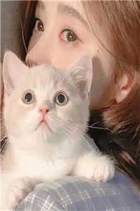 医心仁术惜生缘小说