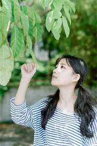 晚秋心上过，故人难回首全集阅读