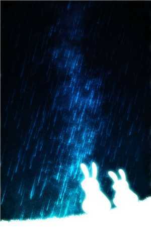 赘婿的商业帝国传奇林羽伊莎贝拉小说