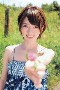 以智为刀:全本+番外+后续