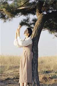 侠影秘宝:番外+无删减版