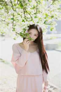 念瑾李静杨泽凯全文免费