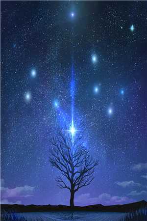 饲鳞志陈默孝布(番外)+(结局)