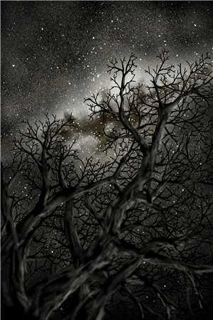 重生后，我亲手葬送豪门未婚夫姜璃顾泽全本+番外+后续