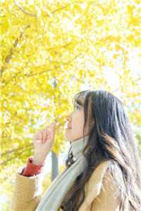 来自未来的求救信后续+无弹窗