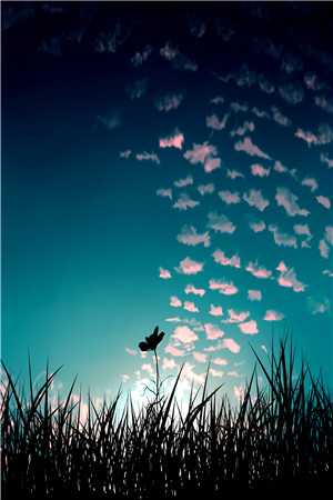 重生后，贪财老伴再食恶果小惠热门全文+后续+结局