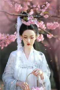 情劫易渡，爱恨难消:番外+无删减版
