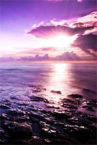 我驯兽师冯十三人性两恶:结局+番外+完结