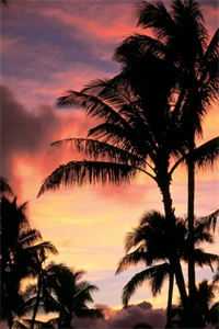 我在寿命典当铺反杀白眼狼母子青山顾青山全集