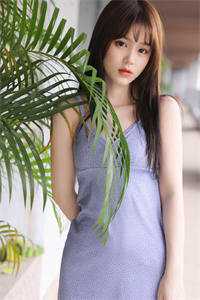 硅基创世纪苏芮清道夫全章+后续