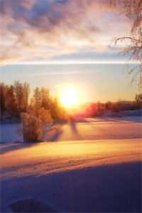 从小透明爬到顶流影后的秘密完结+番外