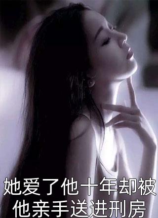 车祸烧毁半张脸后，我决定以暴治暴无删减全文