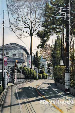 关山难越，谁悲失路之人小说沈宴阿曦完结版