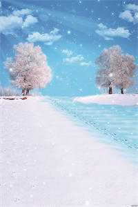 时光循环宋惊池沈枝意番外+无删减版