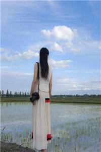 长门深锁几度秋霜寒裴清柳如烟番外+无删减版