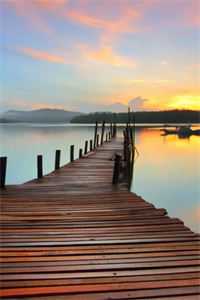 当爱情和友情都成骗局，我选择黑化顾言之阿言:番外+无删减版