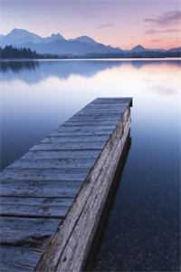 安若溪纪云深的小说梧桐灯前望星河