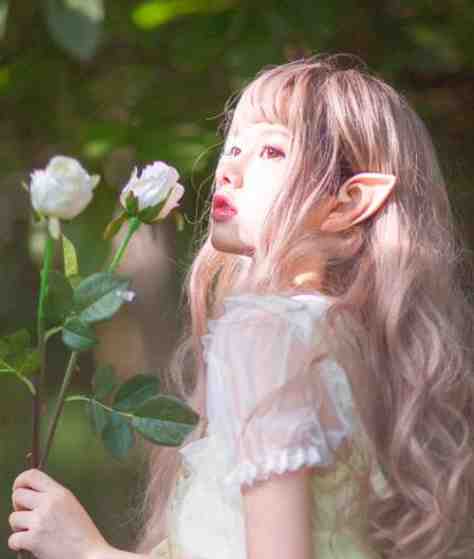 80年代种花：成就传奇人生全文+结局+番外