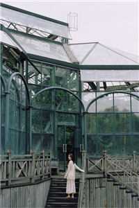 和前任分手我转身找了个上门女婿白洛白经年结局+番外