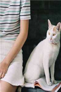 墨染梨香，梦影长情:前文+后续