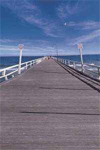 少妇惨死宾馆，妙龄学姐沦为屠夫王成王城:全文+结局+番外