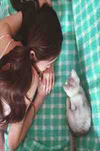 浅喜似苍狗，深爱如长风后续+完结