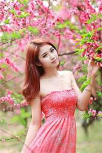 怀孕八个月的老婆溜狗出了车祸，我选择救狗全文+结局+番外