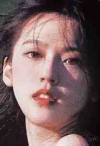 苏檀儿萧阮红楼梦已残，风流几度秋小说