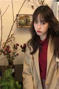 心跳在校园的奇妙回响后续