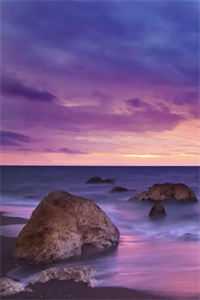 为救男友，我把心脏给她了张姐狗仔:全文+后续+结局