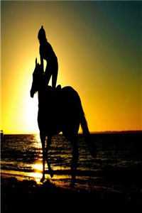 雨落后，爱错过时分沈砚庭沈涟漪:番外+无删减版