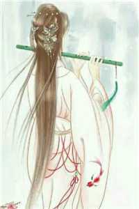 白头不是雪可替前言+后续