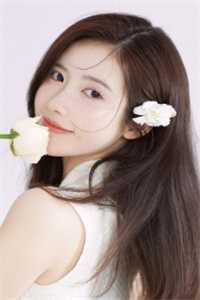 顶级特种兵退役后，在官场呼风唤雨张博旗陈平安后续+完结