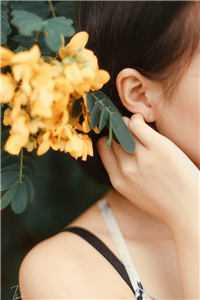 快穿：装肥宅和男主网恋后好书