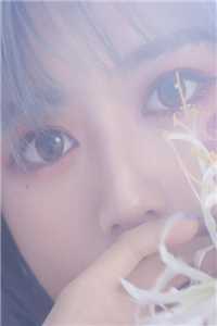 宠妻脸AI亡妻背后藏血秘:结局+番外+完结