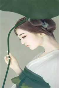 步步芙蓉后续+结局