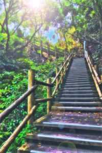 身份被曝后势利未婚夫跪地求原谅:全章+后续