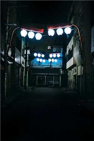 逆主：从主宰到附庸的沉沦:结局+番外+完结