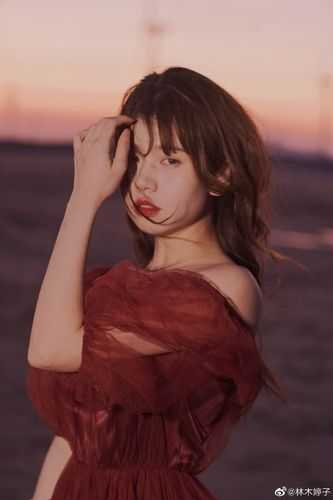 这结婚证，不领也罢顾毅江然全集