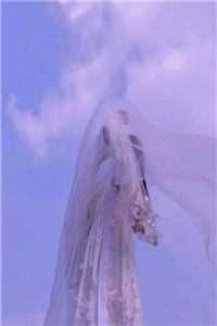 手术期间，老婆的竹马往我胃里塞石头林晚晴沈洛书:全文+结局+番外