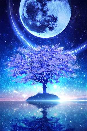 星陨：北城的白月光碎了张燃夏星小说