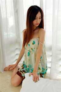 南风晚来迟顾南乔温砚礼全文+番茄