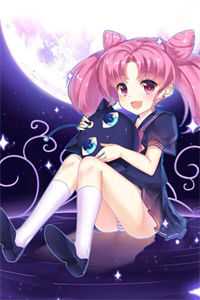 网购男神许嘉树热门全文