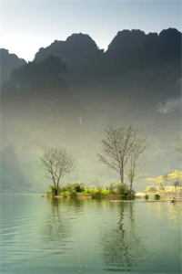 暮年的温馨与永恒的回忆无删减+无广告