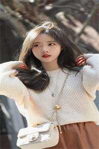 主席男友好厉害林锦刘思强结局+番外+完结