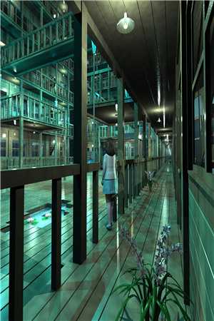 尸棺新娘：轮回客栈的百年诅咒全文+后续