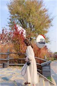 高冷教授崩人设，跪求前妻别走顾清辞苏晚全文免费